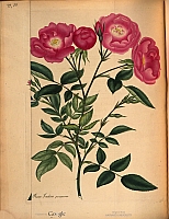  no thumbnail available