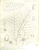  no thumbnail available