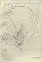  no thumbnail available