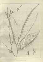  no thumbnail available