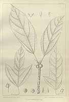  no thumbnail available