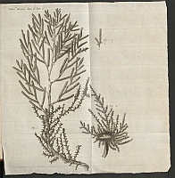  no thumbnail available