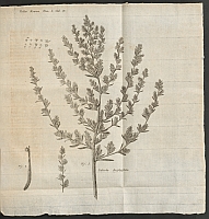  no thumbnail available