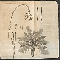  no thumbnail available