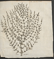  no thumbnail available