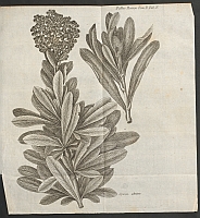  no thumbnail available