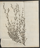  no thumbnail available