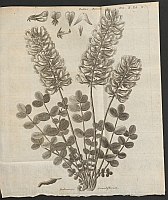  no thumbnail available