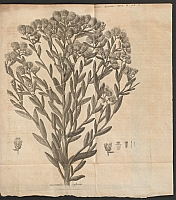  no thumbnail available