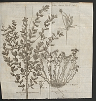  no thumbnail available