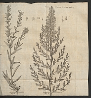  no thumbnail available