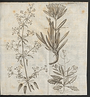  no thumbnail available