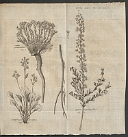  no thumbnail available