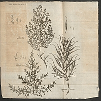  no thumbnail available