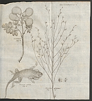  no thumbnail available