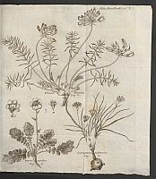  no thumbnail available