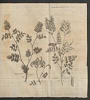  no thumbnail available