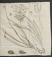  no thumbnail available