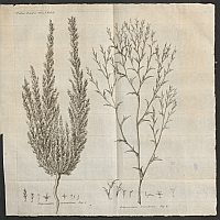  no thumbnail available