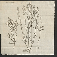  no thumbnail available