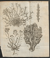  no thumbnail available