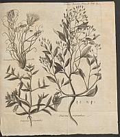  no thumbnail available