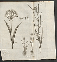  no thumbnail available