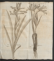  no thumbnail available