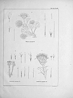  no thumbnail available