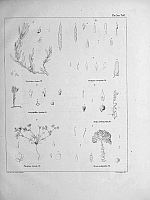  no thumbnail available