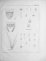  no thumbnail available