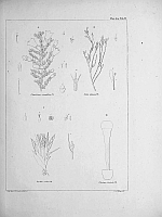  no thumbnail available