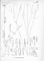  no thumbnail available