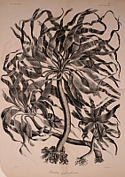  no thumbnail available