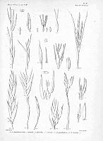  no thumbnail available