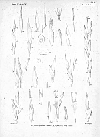  no thumbnail available