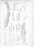  no thumbnail available