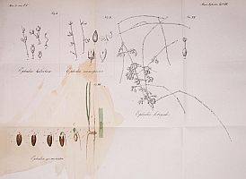  no thumbnail available