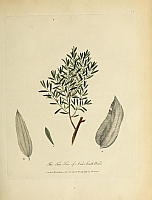  no thumbnail available