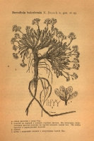  no thumbnail available