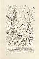  no thumbnail available