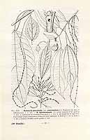  no thumbnail available