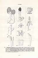  no thumbnail available