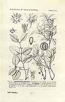  no thumbnail available