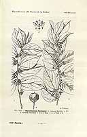  no thumbnail available