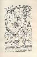  no thumbnail available