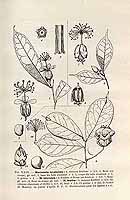  no thumbnail available