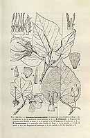  no thumbnail available