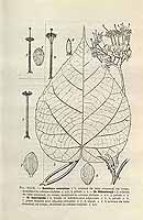  no thumbnail available