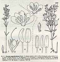  no thumbnail available